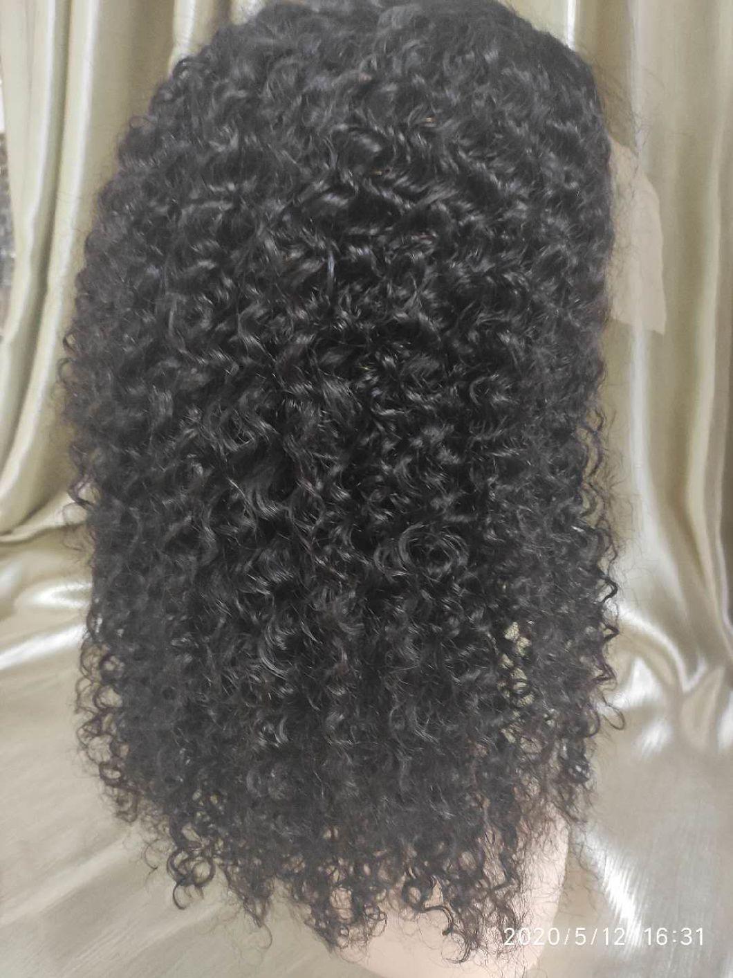 Mink Brazilian Human Hair Afro Kinky Curly Lace Wig