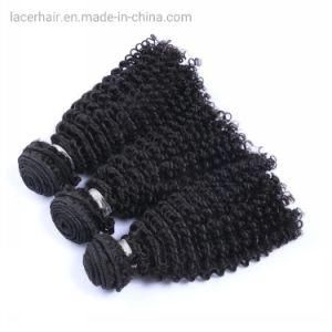 Manufacture Direct Selling Virgin Brazilian Human Hair Jerry Kinky Curly Hair Weft