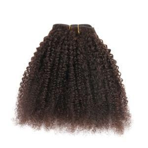 Kinky Curly Natural Black Clip in Human Hair Extensions