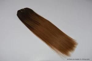 Hot Selling Wholesale Clips in Hair Extension Balayage2#/8# Wholesale Clip Hair Extension