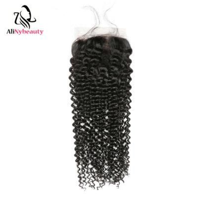 Wholesale Unprocessed Malaysian Human Hair Lace Closure