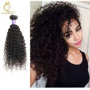 Wholesale Human Kinky Curly Raw Unprocessed Hair Weave
