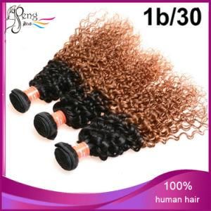 Top Quality Brazilian Omber Virgin Hair Extension