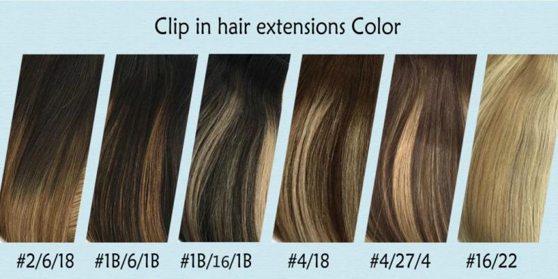 Brazilian Human Hair Extensions Full Head Clip in Remy Human Hair Straight Hair Extensions Multi Color 20 Inches Clip in