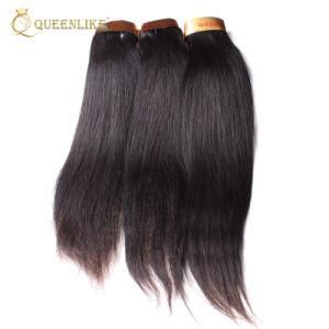 Raw Cuticle Aligned Virgin Brazilian Vendors Human Hair