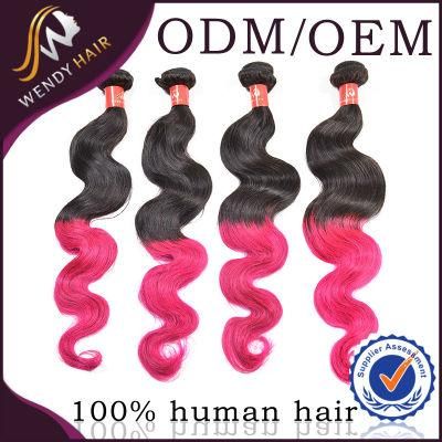 Two Tone Color Virgin Peruvian Human Hair