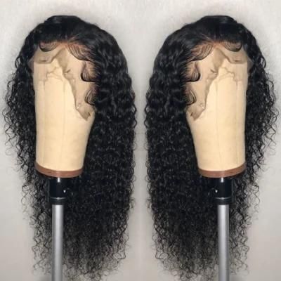 Sunlight Brazilian Deep Curly Virgin Hair 13X4 Lace Front Wigs