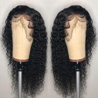Sunlight Brazilian Deep Curly Virgin Hair 13X4 Lace Front Wigs