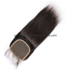 Grade 10A Popular Virgin Remy Brazilian Lace Front Closure Human Hair