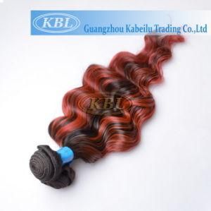 Brazilian Highlight Ombre Human Hair