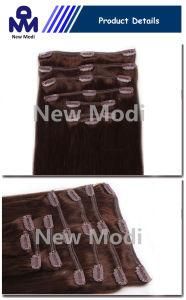 Remy Human Hair Extension Double Clip in Hair Extension