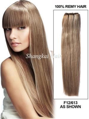 Remy Brazilian Mixed Color Natural Human Hair Weft