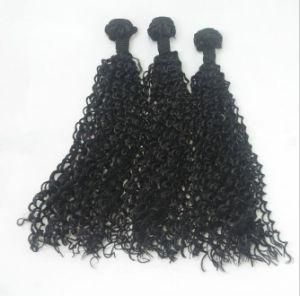 High Temperature Silk Black Curly Curtain of Africa Hair Weft
