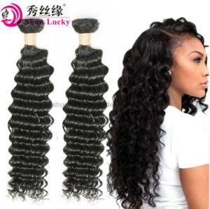 China Factory Supply 100% Virign Malaysian Hair Deep Wave Mink Unprocessed Remy Human Hair Bundles