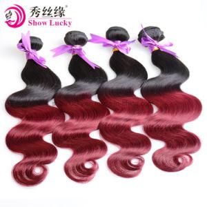 Fast Delivery Popular Natural Healthy Mink Virgin Brazilian Human Hair Body Wave 1b/Red Ombre Hair Extensions
