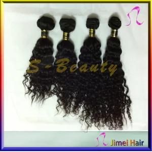 Guaranteed 100% Indian Remy Curly Hair Extension, ODM, OEM (SB-I-CW)