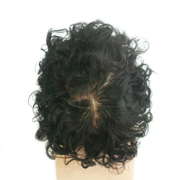 Ljc1581: Human Hair V-Looped Hair Realistic Human Hair Wig