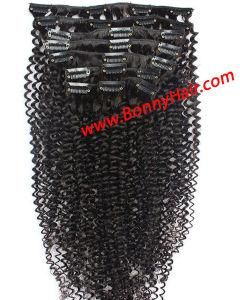 Deep Wave Human Remy Hair Clip on Hair Extension