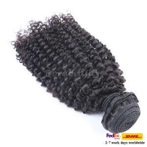 Kinky Curly Virgin Brazilian Human Hair Natural Hair Extensions