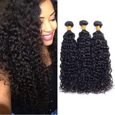 Water Wave Virgin Hair, Double Drawn Virgin Hair Water Wave 12A, Water Wave Hair Extension