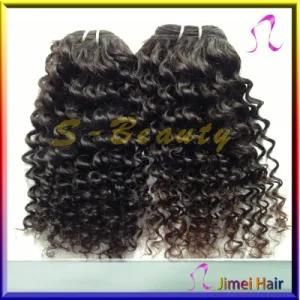 Virgin Remy Human Kinky Curly Hair Extensions (SB-B-CW)