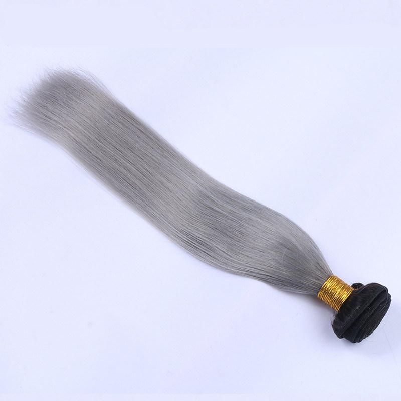 Alinybeauty Grey Color Unprocessed Brazilian Human Hair Extension