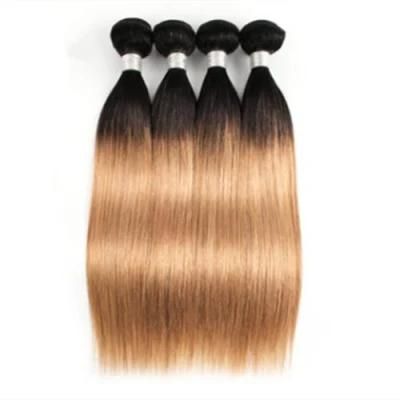 Ombre Bundles with Closure Blonde Brazilian Straight Human Hair