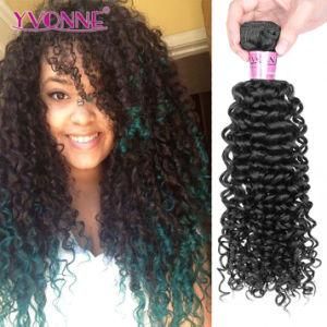 Fashion Malaysian Curly Hair 100% Virgin Hair Brazilian Human Hair Extension