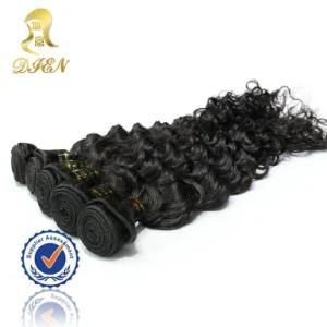 Hot Fashion Factory Price Indian Human Hair Afro
