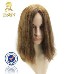 Brazilian Unprocessed Human Hair Front Wig