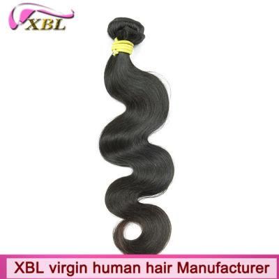 Top Premium Virgin Hair Free Sample Hair