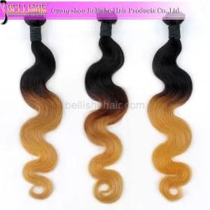 2015 New Products 6A Grade Virgin Brazilian Human Ombre Hair