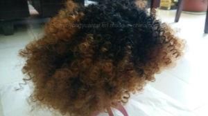 Afro Curly Synthentic Hair Wig Ombre Color Factory Price