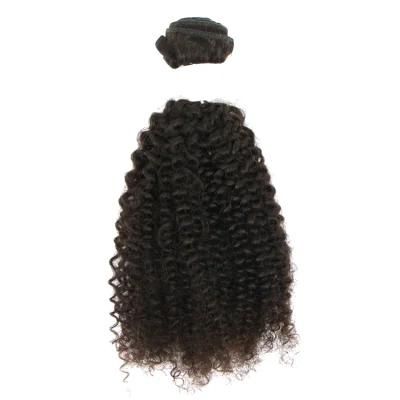 Kinky Curly Brazilian Human Hair Extension