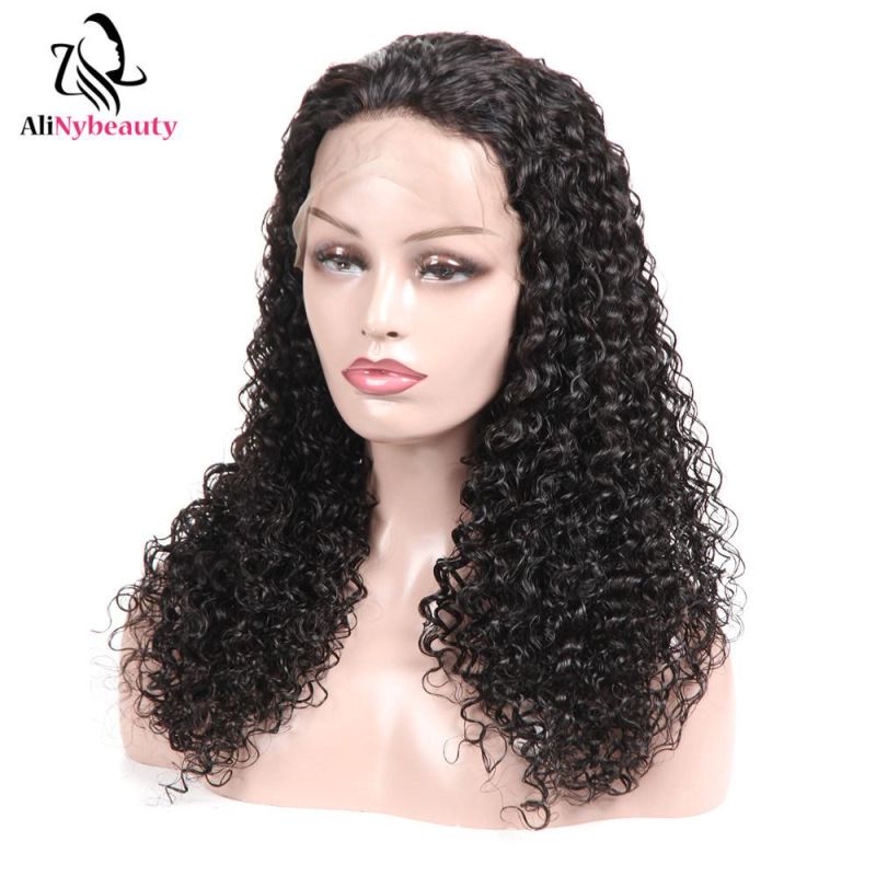 100% Brazilian Virgin Human Hair Lace Front Wig for Women