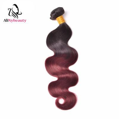Factory Direct Price Brazilian Hair Color 1b 99j