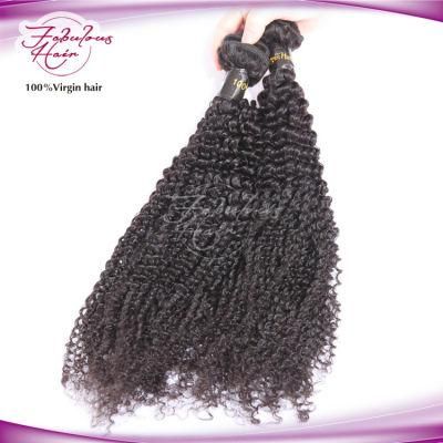 8A Grade Kinky Curly Brazilian Human Virgin Hair Wig