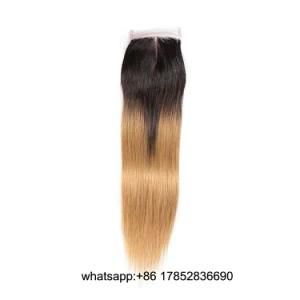 Human Hair Brazilian Malaysian Peruvian Indian Remy Human Hair 1b/27 4X4 Lace Closure Pre Plucked Baby Hair Straight Hair