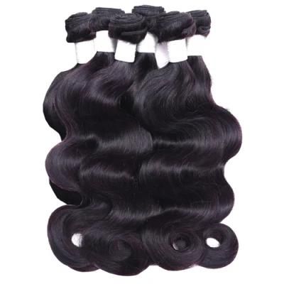 Remy Virgin Hair 100%, Human Hair Blend Bundles with Closure, Pack Hair