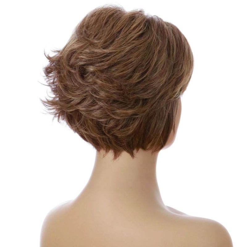 Short Wigs High Temperature Fiber Wig with Bangs Heat Resistant Synthetic Wig Mixed Color Straight for Women