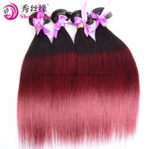 Factory Price Two Tone Colored 1b/99j Brazilian Virgin Human Hair Weft Straight Ombre Hair Bundles