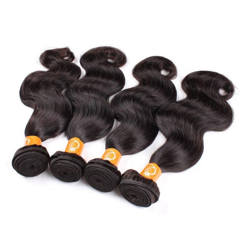 12A Human Mink Hair Brazilian Virgin Human Hair Vendor