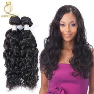 Mongolian Single Donor Water Wave Human Unprocessed Virgin Hair