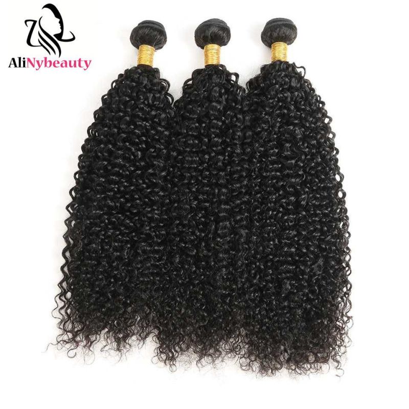Virgin Malaysian Jerry Curly Hair 3 Bundles with Lace Closure