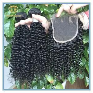 Top Quality Unprocessed Natural Black Jerry Curly 8A Grade Peruvian Human Hair in Full Cuticle Cut From One Donor with Factory Price Wfp-053