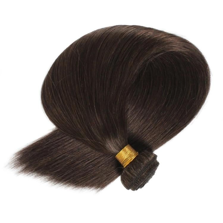 100% Human Hair Brazilian Cuticle Aligned Hair Bundles #2