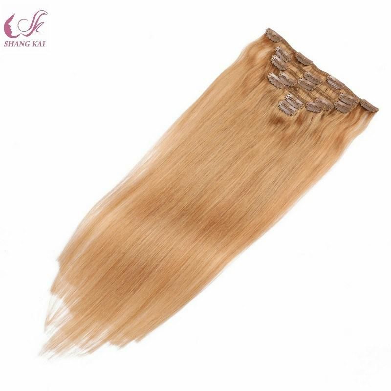 Factory Price Brazilian Human Hair Clip on Hair Extension