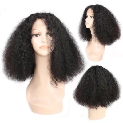 Most Popular 100% Indian Human Hair Lace Front Human Hair Wig