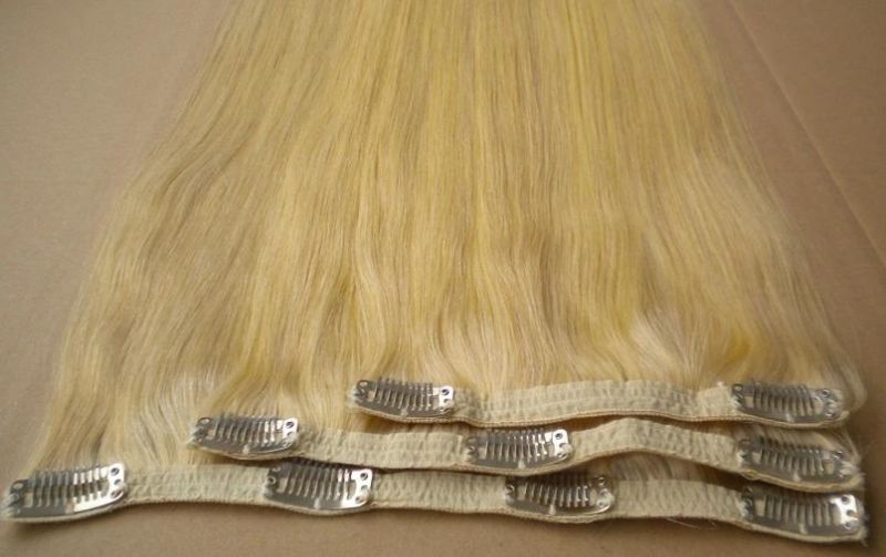 Clip on Hair Extensions Lace Clip in Hair Extension Virgin Hair (AV-CHL006-613)