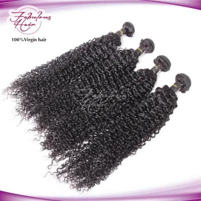 Unprocessed Virgin Human Hair Curly Hair Bundles Hair Weaves
